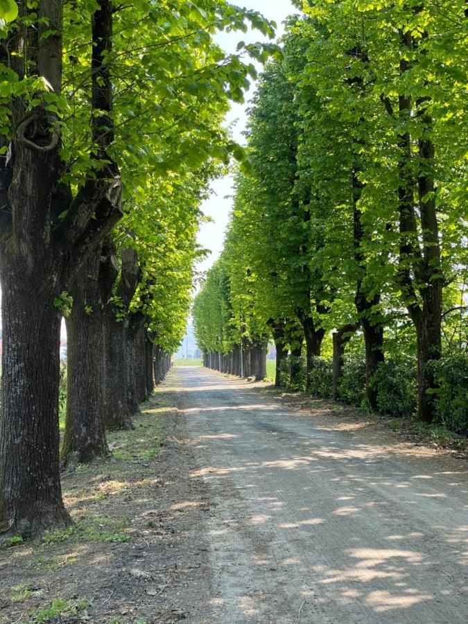 Tenuta Pizzone Wine Resort Rivanazzano Terme Luaran gambar