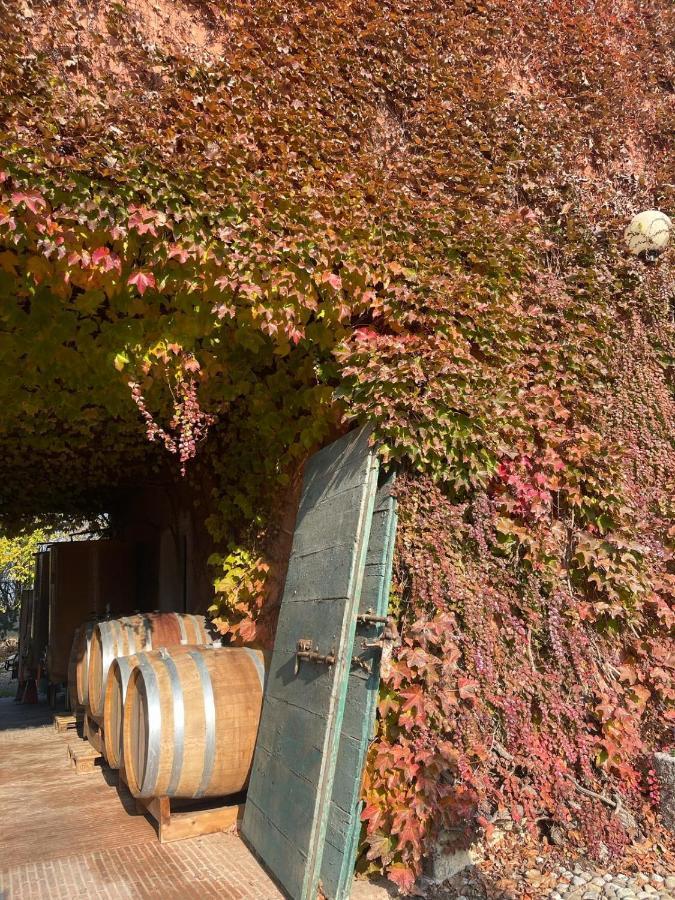 Tenuta Pizzone Wine Resort Rivanazzano Terme Luaran gambar